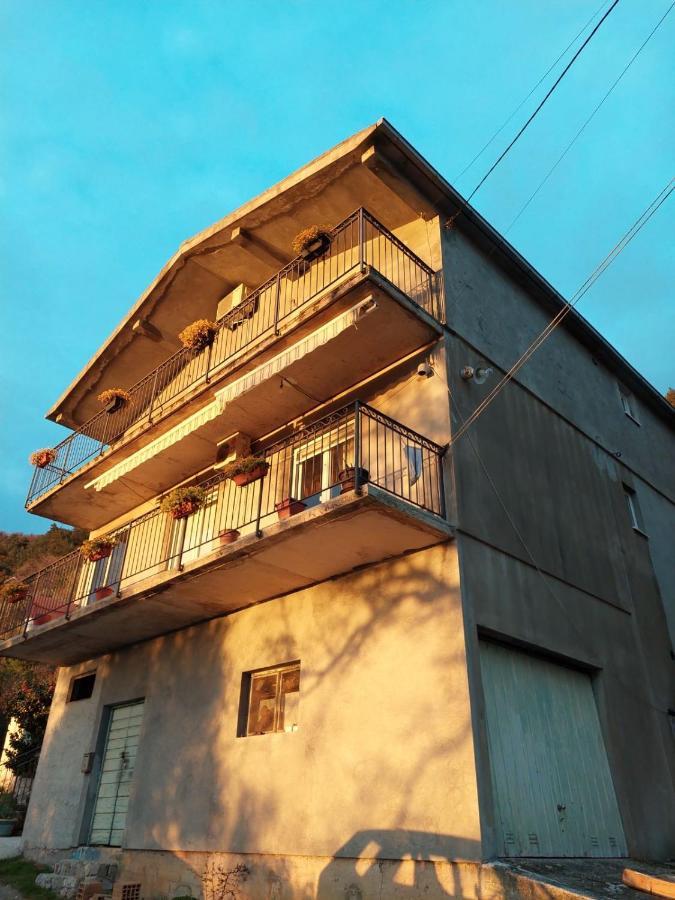Guest House Pocanic تيفات المظهر الخارجي الصورة